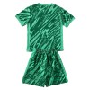 Conjunto (Camiseta+Pantalón Corto) Portero Brasil 2024 Verde - Niño